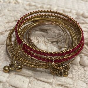 22 piece bangle bundle